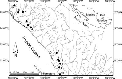 What Drives Life-History Variation in the Livebearing Fish Poeciliopsis prolifica? An Assessment of Multiple Putative Selective Agents